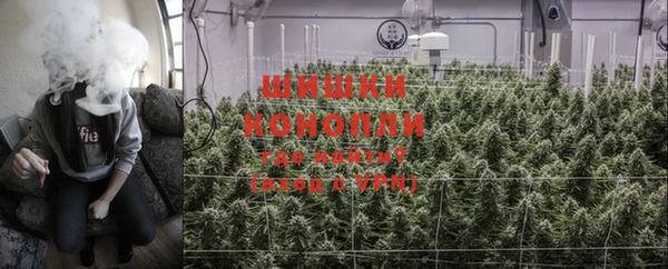 ПСИЛОЦИБИНОВЫЕ ГРИБЫ Балабаново