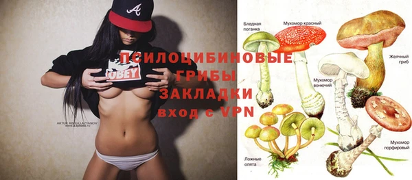 твердый Балахна