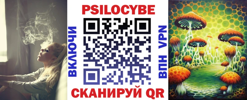 как найти закладки  Армавир  Псилоцибиновые грибы мухоморы 